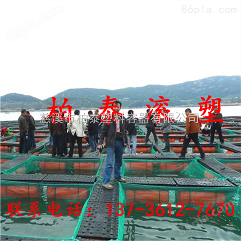 舟山混养塑胶渔排大型网箱养殖